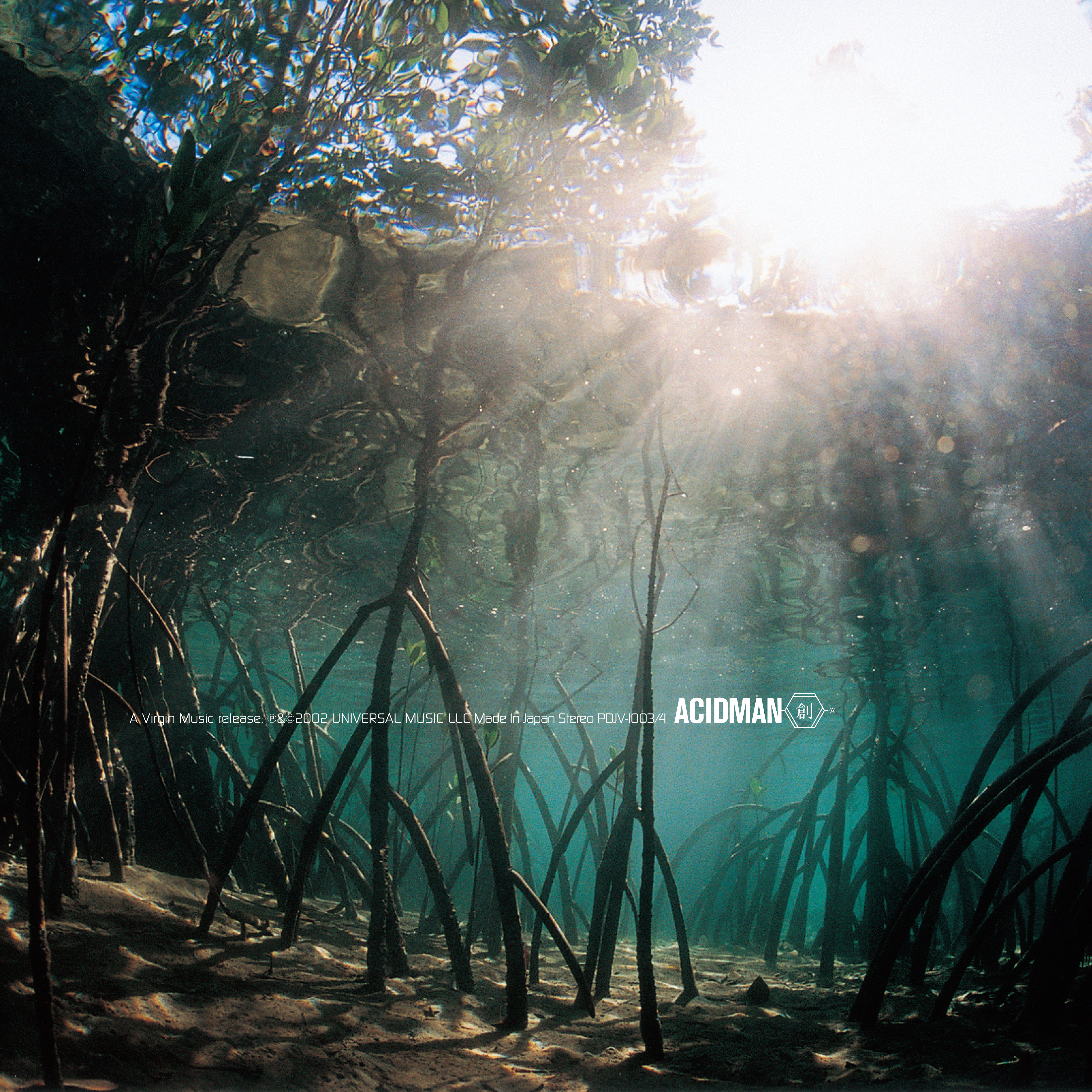 ACIDMAN_LP_Jacket_news用