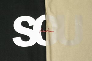 0014_fujiitaku__D2_2691