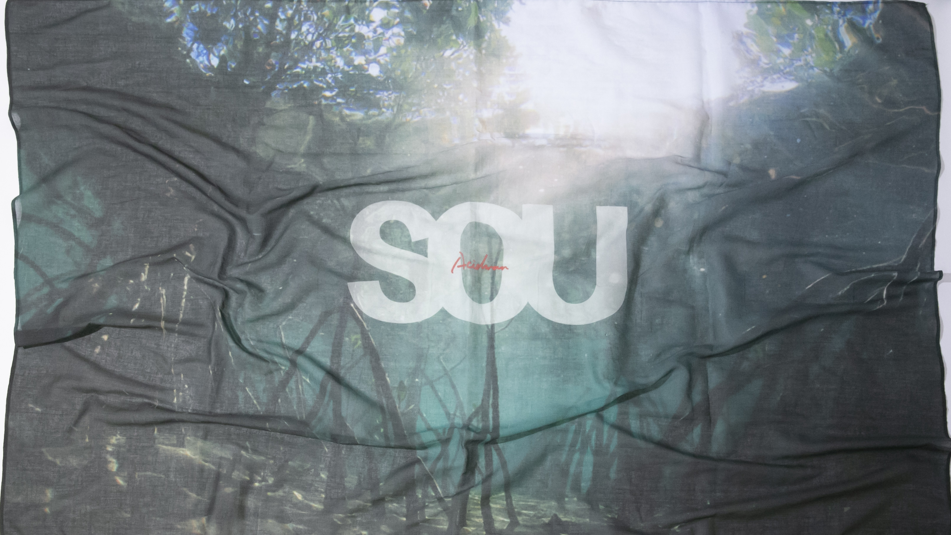 0021_fujiitaku__D2_2719