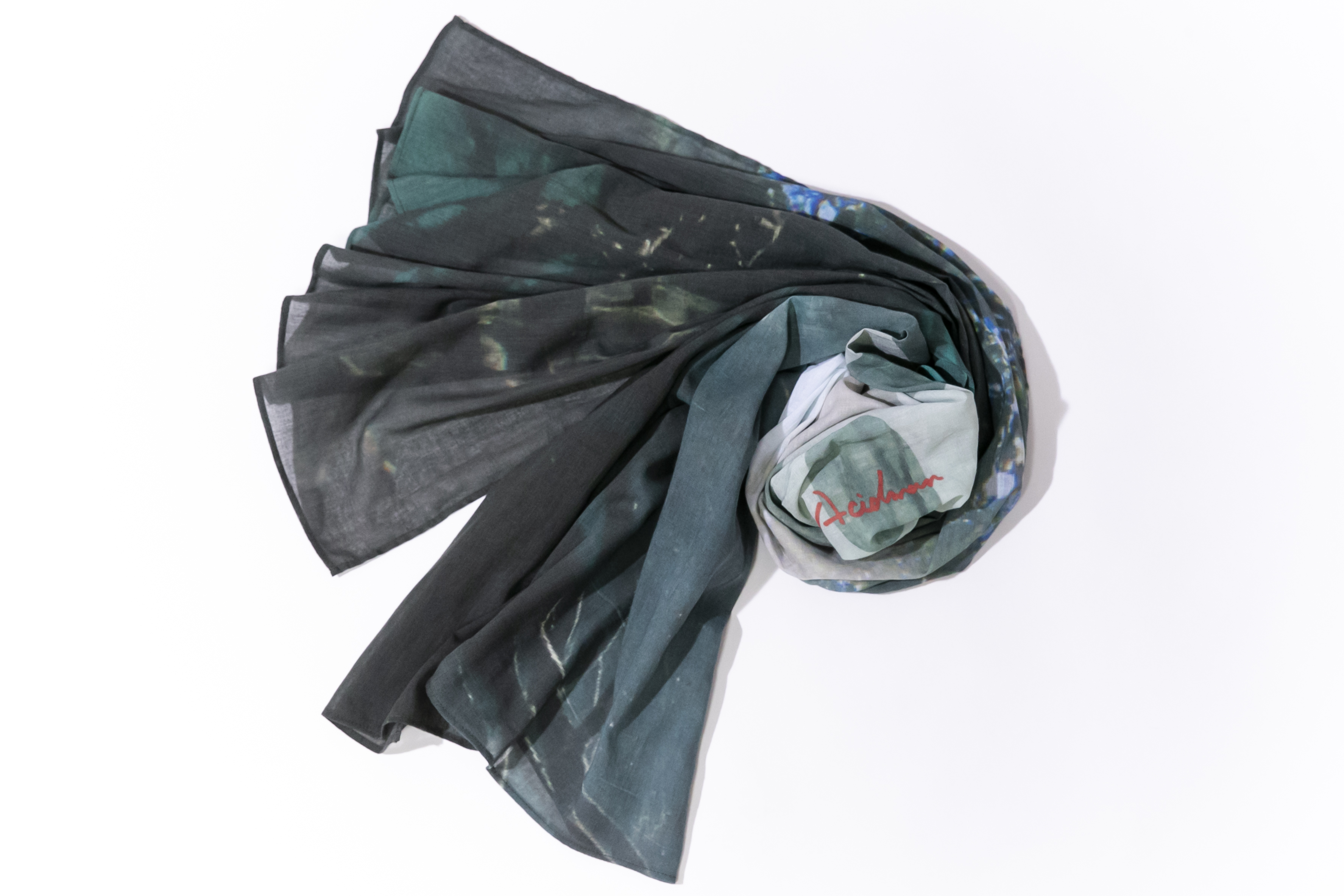 0022_fujiitaku__D2_2725