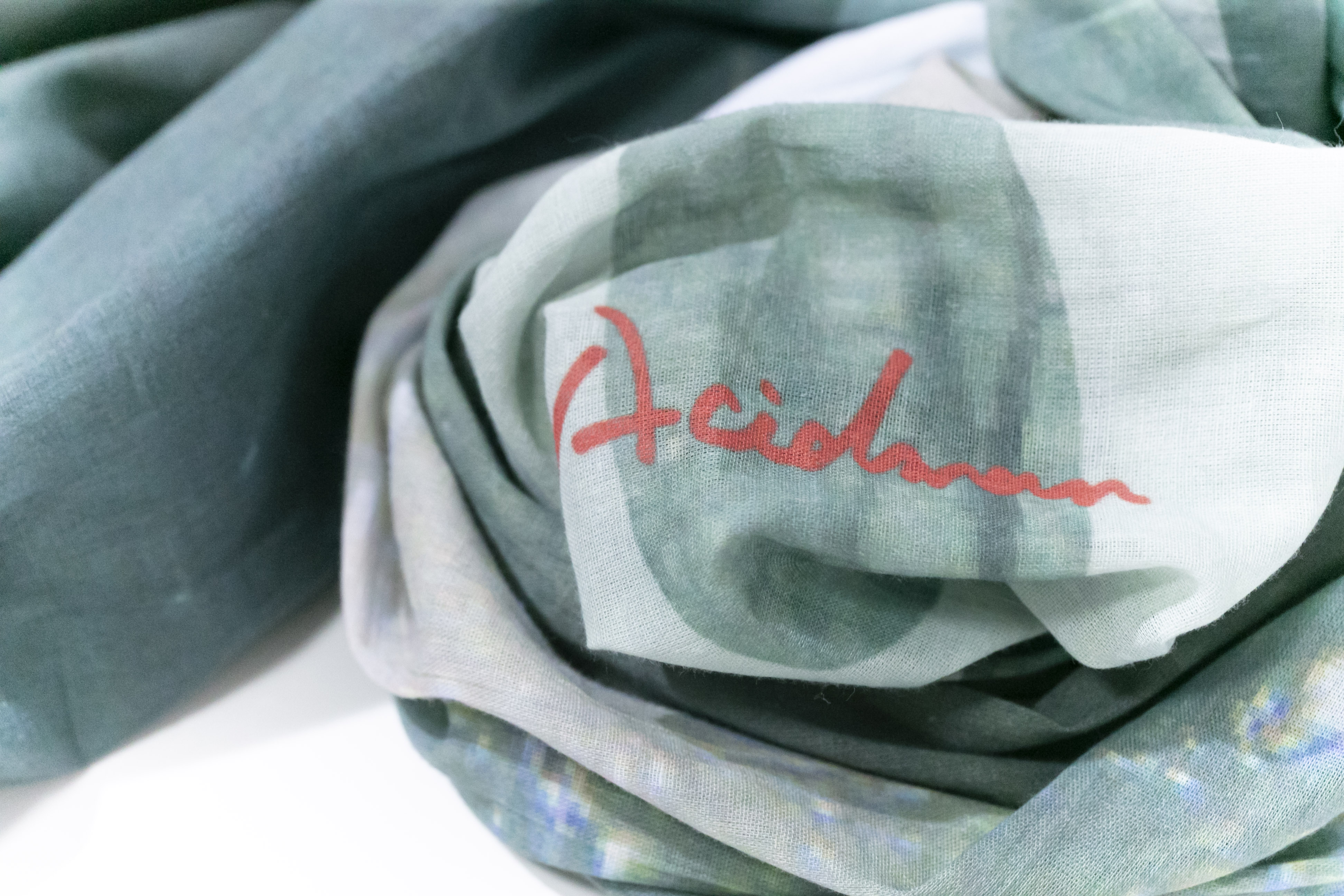 0024_fujiitaku__D2_2731